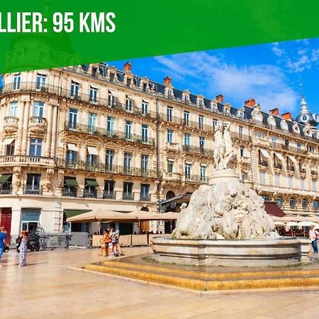 شقة La Bulle - Parking Gratuit En Souterrain - 2 Mins Du Palais Des Papes - Clim Ac - Wifi أفينيون المظهر الخارجي الصورة